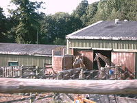 IMAG0096.JPG
