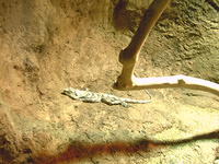 IMAG0102.JPG