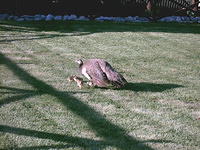 IMAG0112.JPG